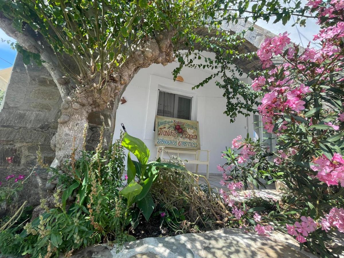 Yannis Maria Rooms Antiparos ciudad Exterior foto